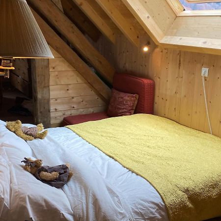 Le Bel Appartement De Montagne Bellevaux Zewnętrze zdjęcie