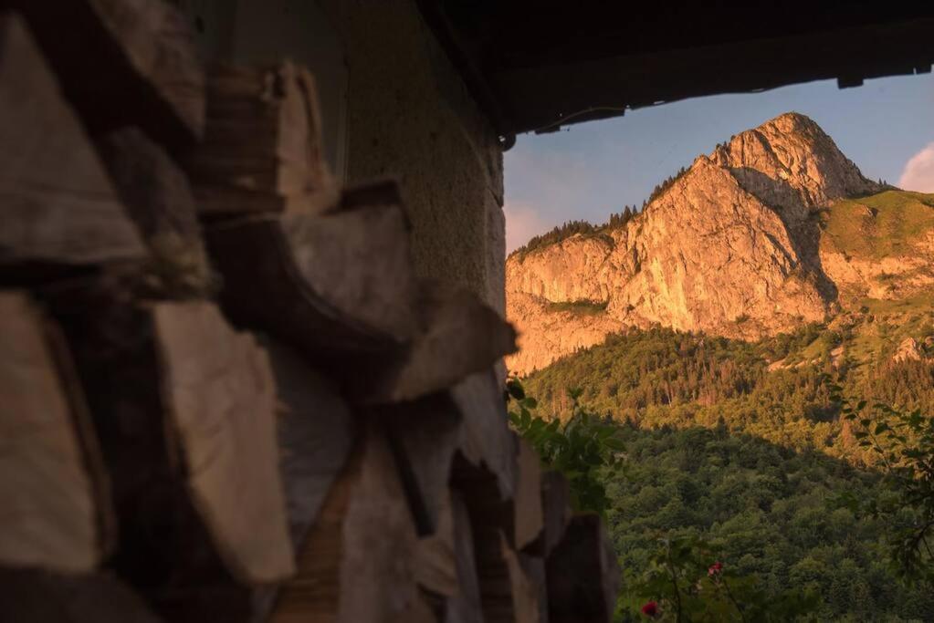 Le Bel Appartement De Montagne Bellevaux Zewnętrze zdjęcie