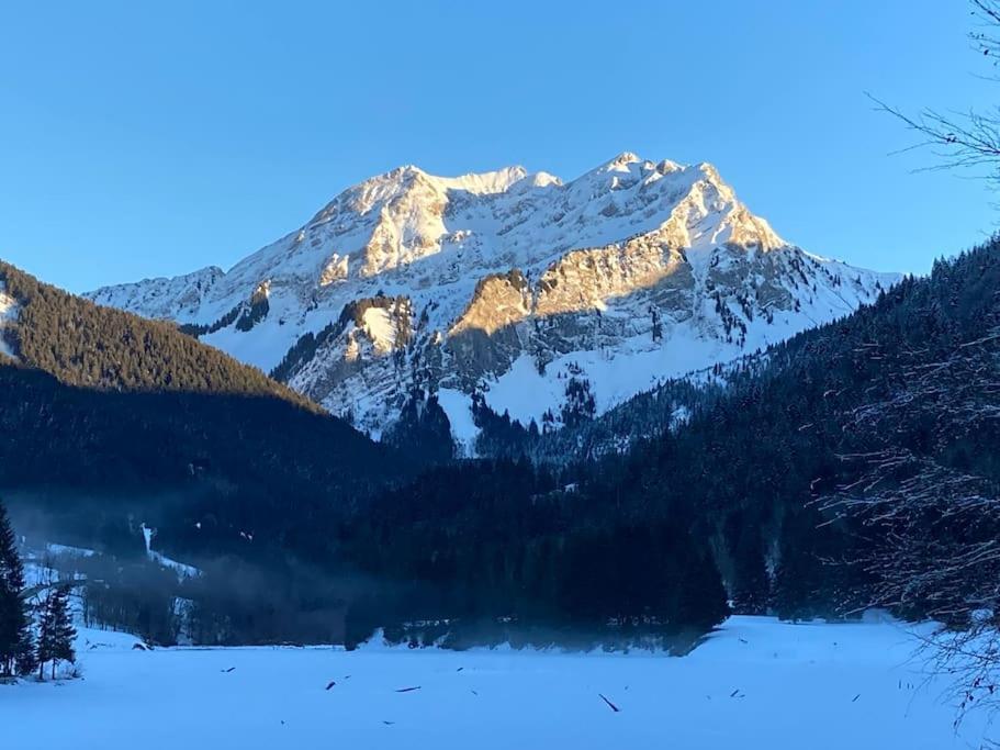 Le Bel Appartement De Montagne Bellevaux Zewnętrze zdjęcie
